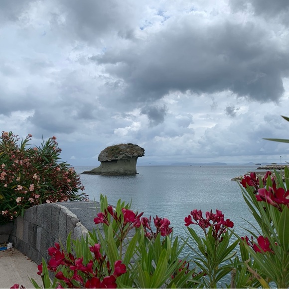 Meet your Posher, Nancy - Picture 4 of 8